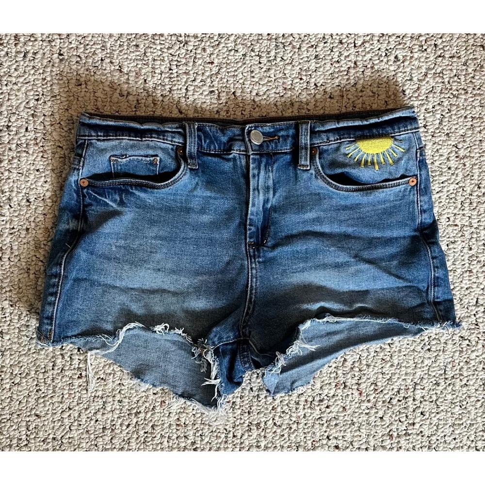 Blank NYC The Astor Cut-Off Denim Shorts Sun Rainbow Embroidery Blue Size 30